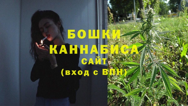 ГАЛЛЮЦИНОГЕННЫЕ ГРИБЫ Навашино