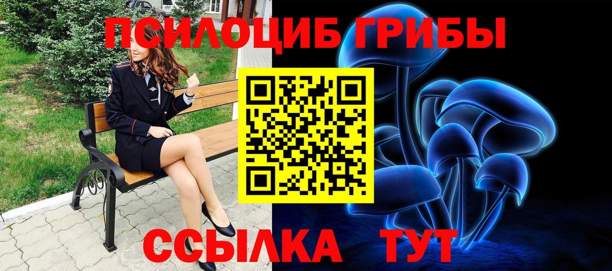 Рассказово  Псилоцибиновые грибы мухоморы  Вход с VPN 
