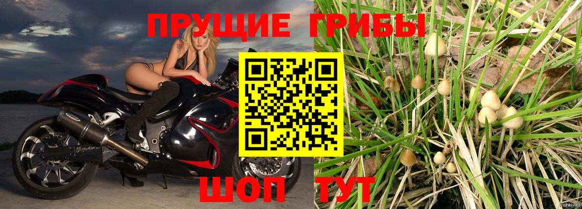 Псилоцибиновые грибы мухоморы Рассказово