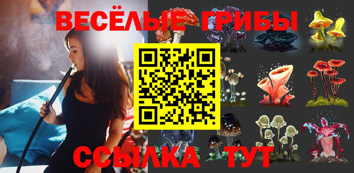 Галлюциногенные грибы Magic Shrooms Рассказово