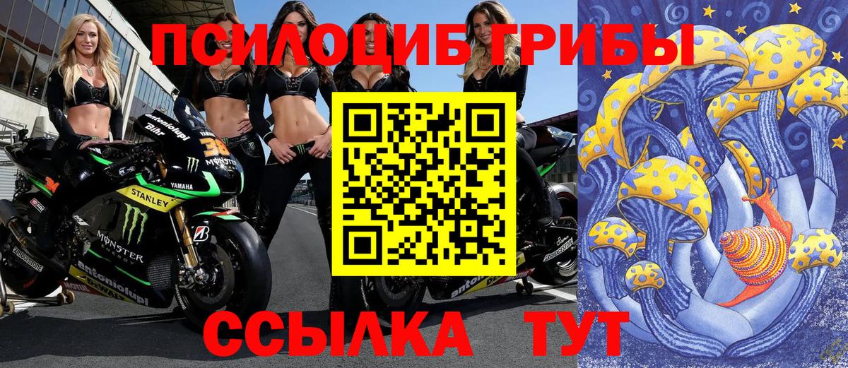 Галлюциногенные грибы ЛСД  Рассказово 